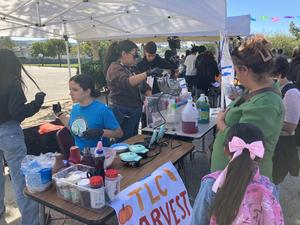 Vejar Fall Festival- images for web