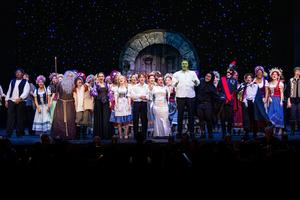 The cast of Young Frankenstein
