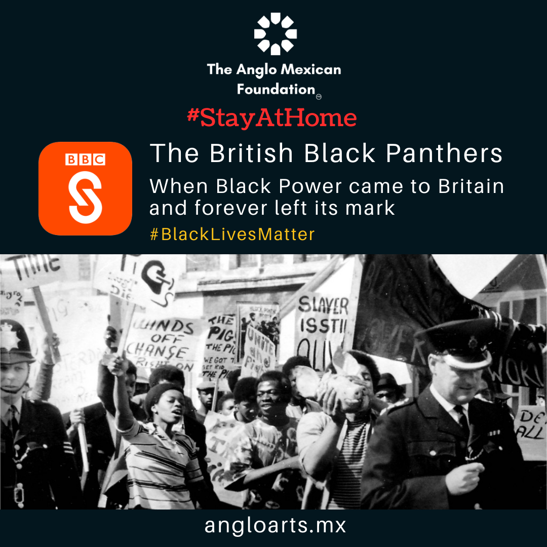 panthers