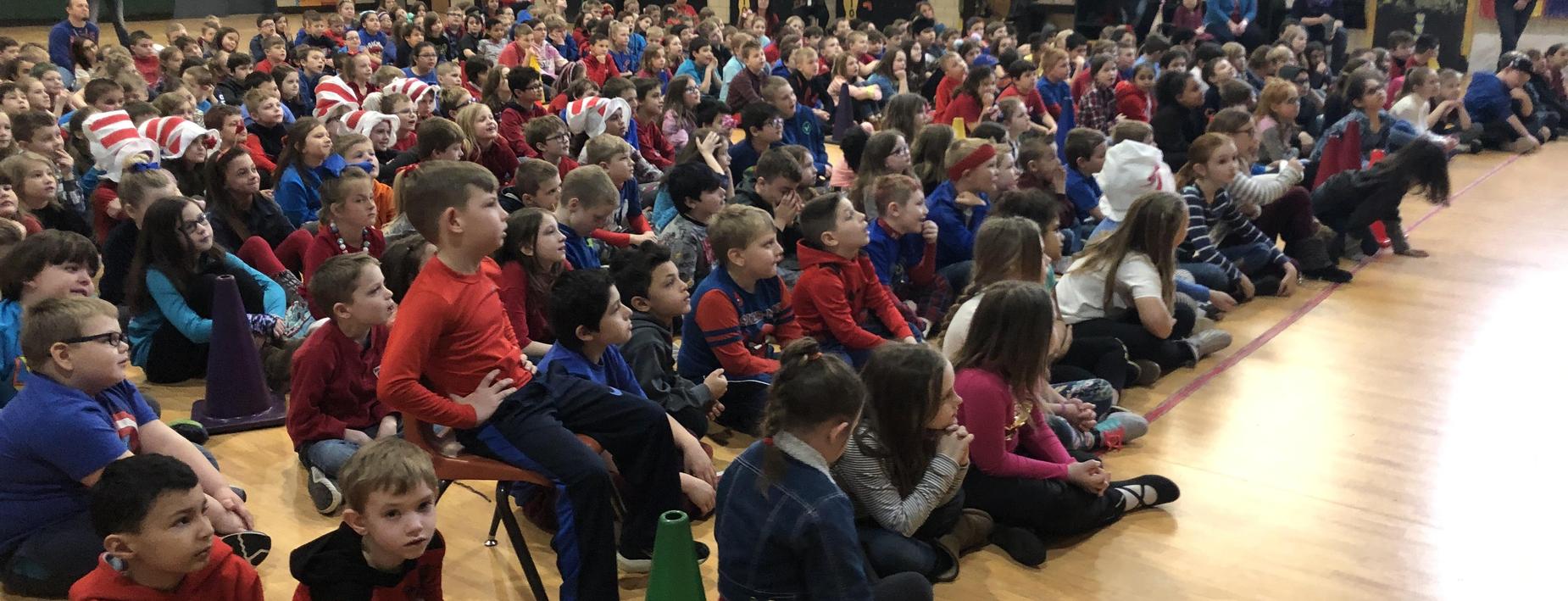 NED at CCES