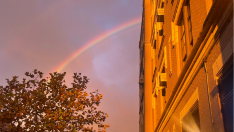 A rainbow arches over a cityscape, framed by a tree and warm building lights.