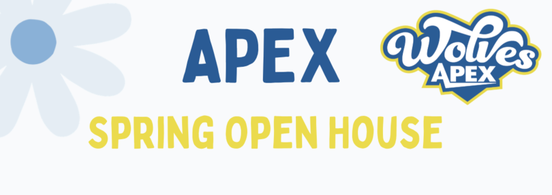 blue and yellow print with blue daisies