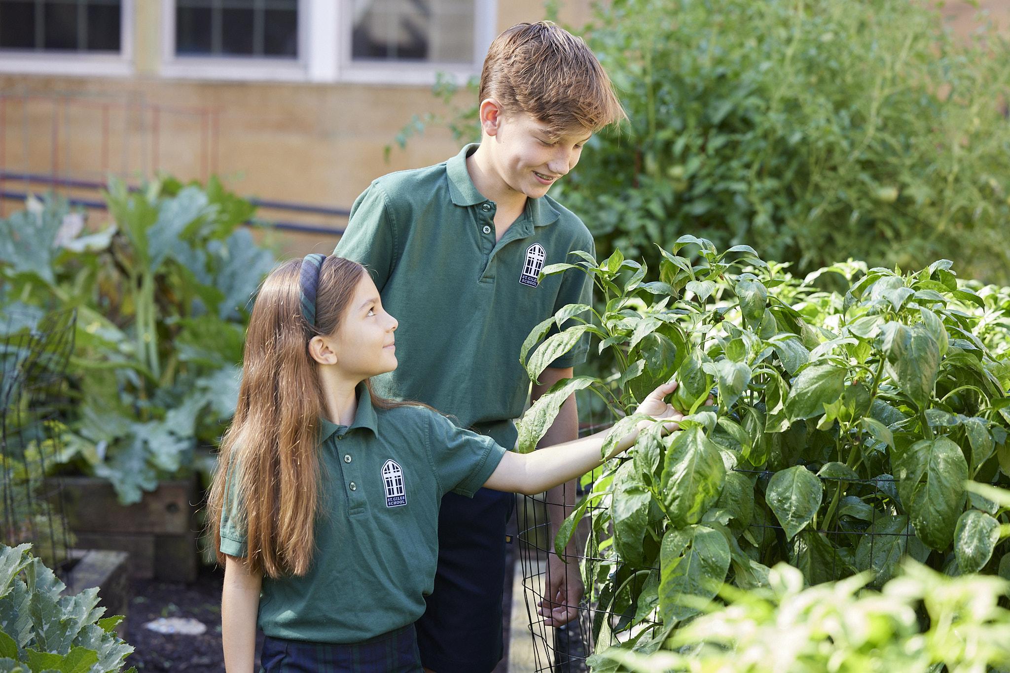 Kids in outdoor garden.