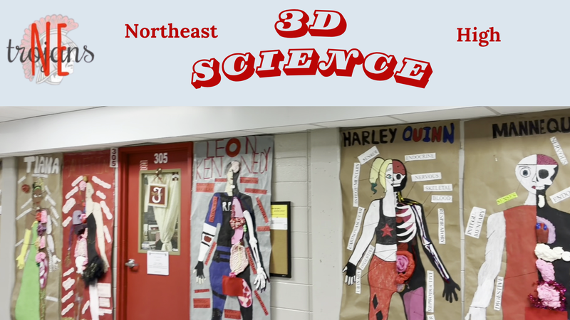 Northeast High School 3D Science Projects: Human Anatomy Projects