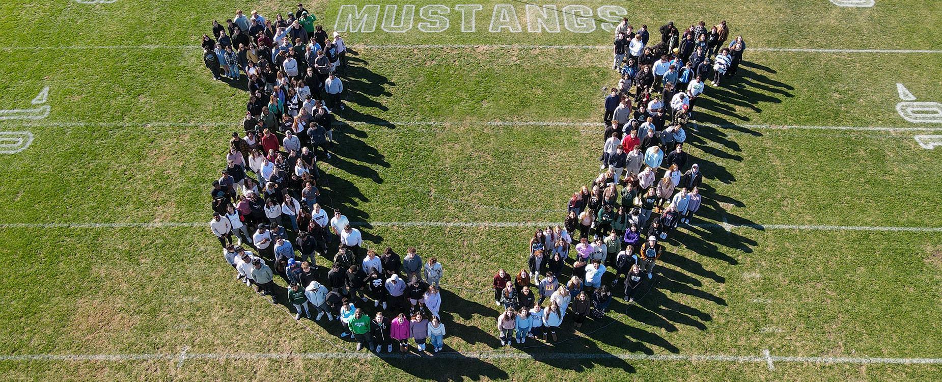 mustangs