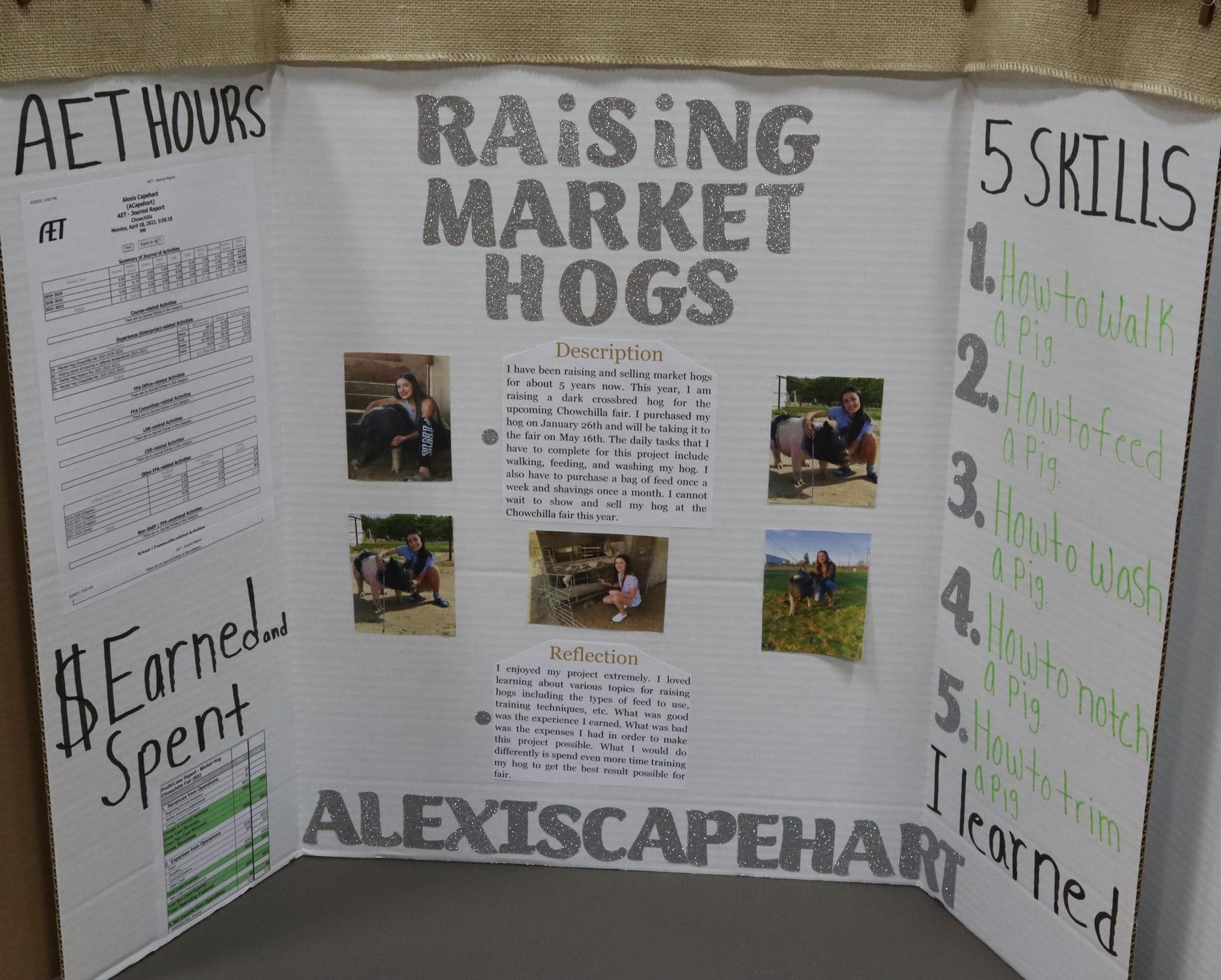 A Supervised Agricultural Experience trifold display