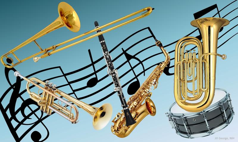 Reminder for SHS Band Members Featured Photo