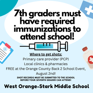 Immunization flyer