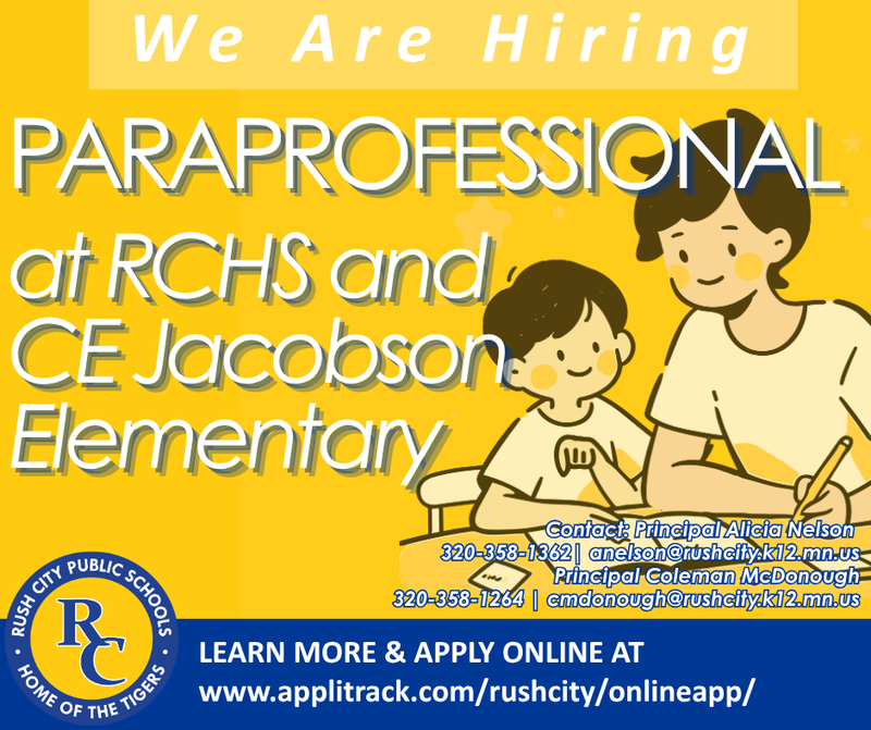 Paraprofessional