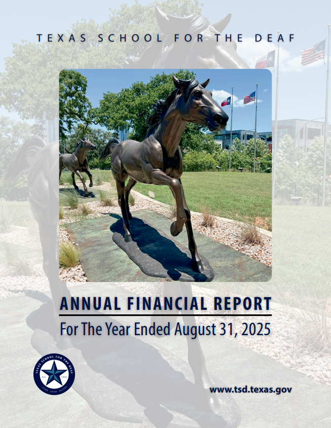 Annual Financial Report