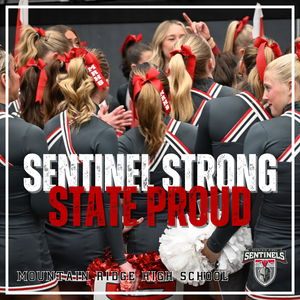 SENTINEL SPIRIT SHINES AT THE STATE CHAMPIONSHIPS