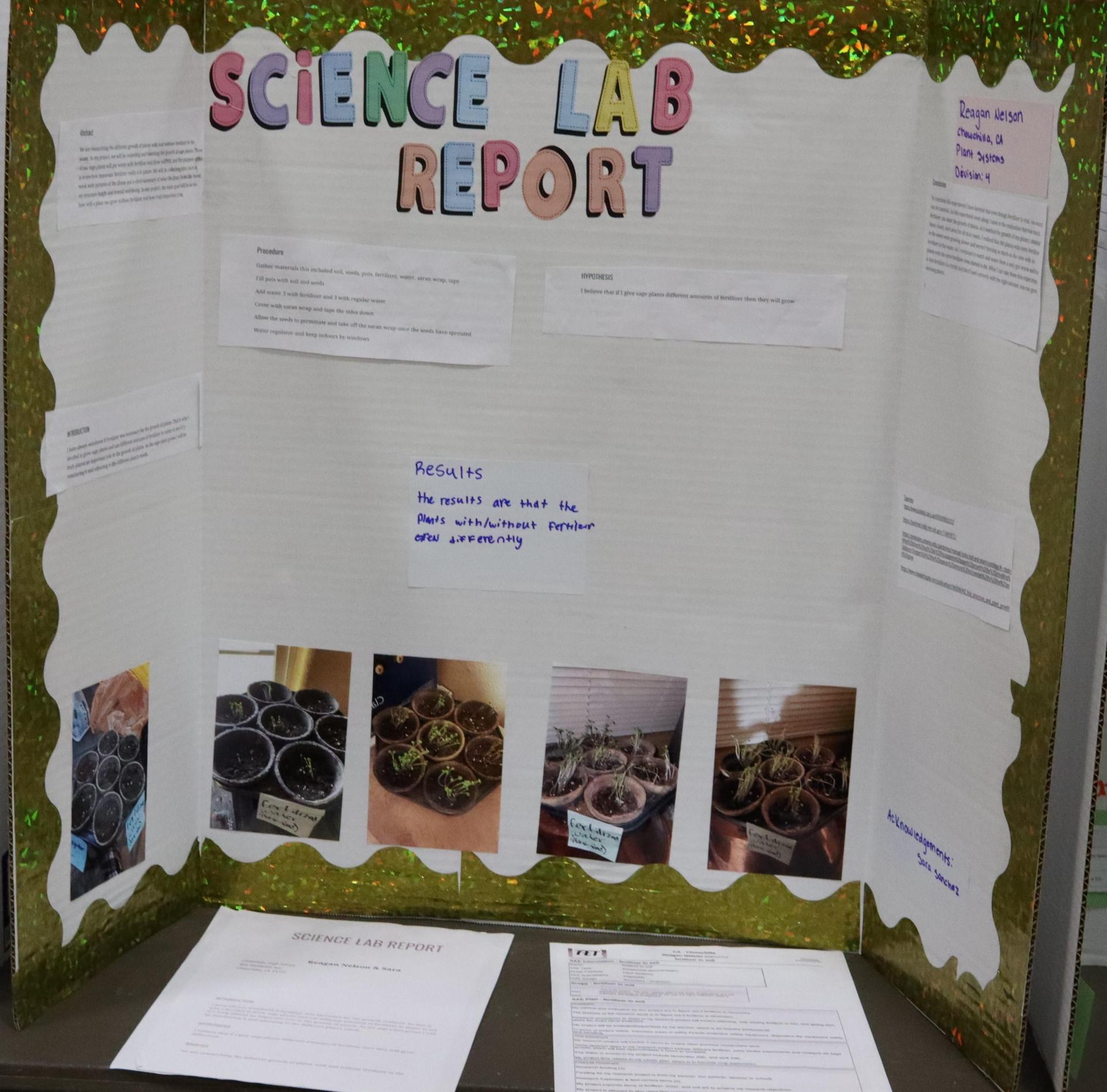 A Supervised Agricultural Experience trifold display