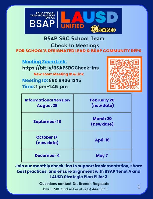 BSAP flier