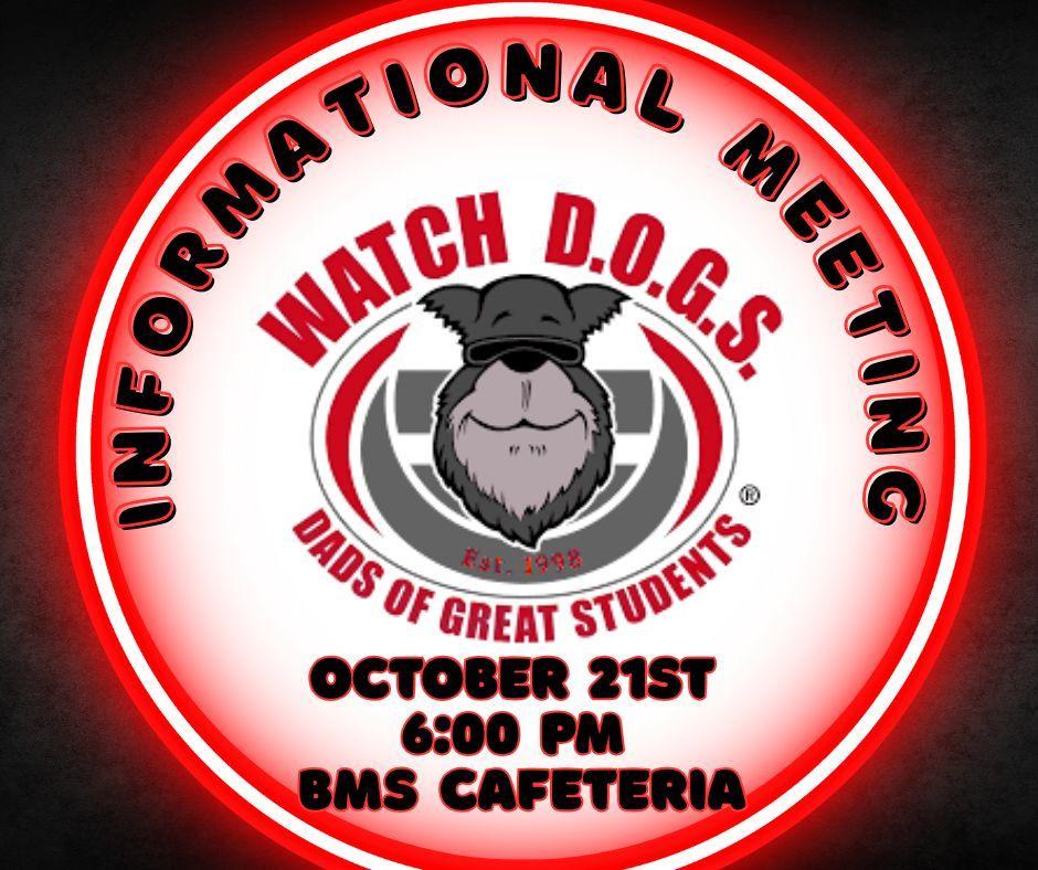 Watch Dogs