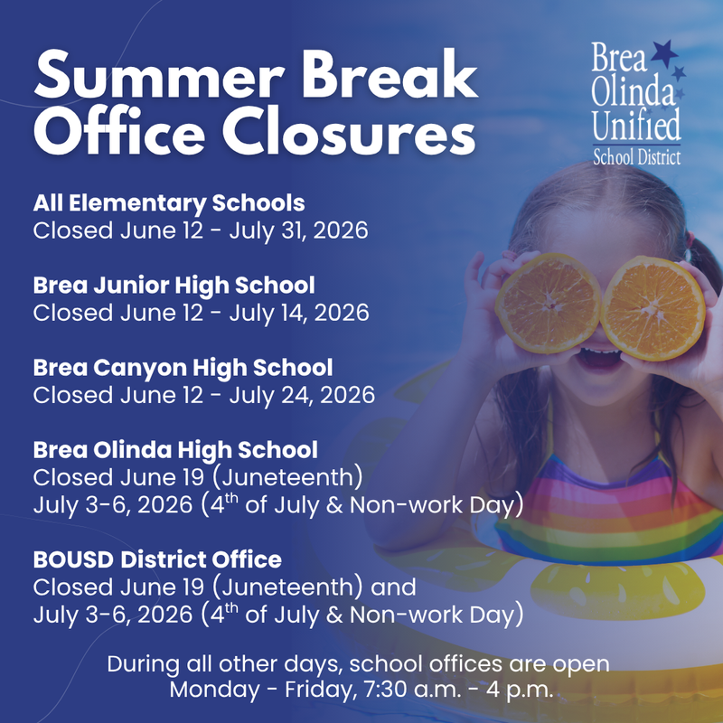 text on a graphic designed image with information about summer hours.