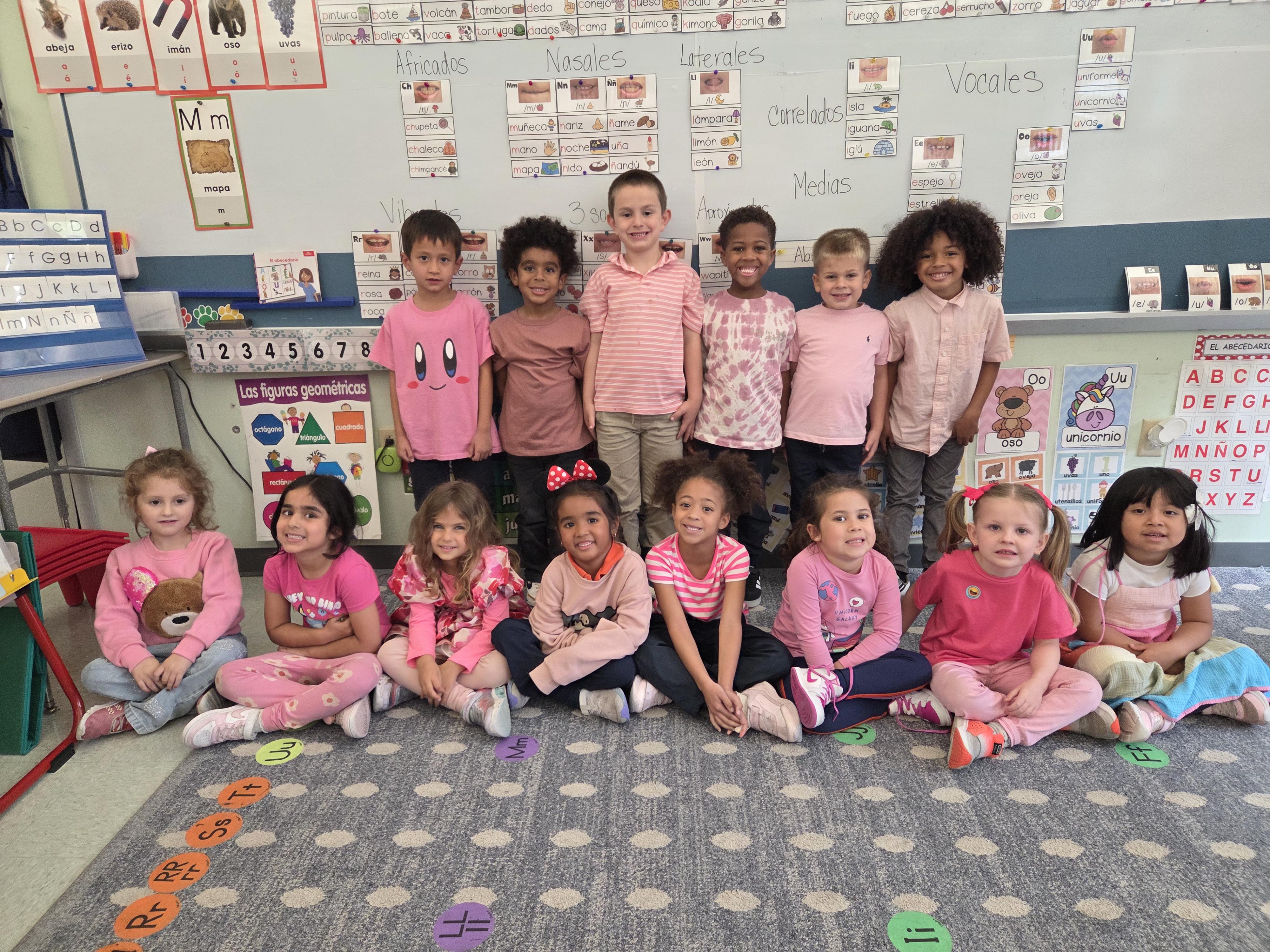 Breast Cancer Awareness Day