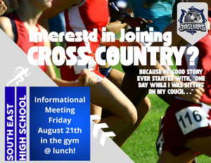 crosscountryflyer