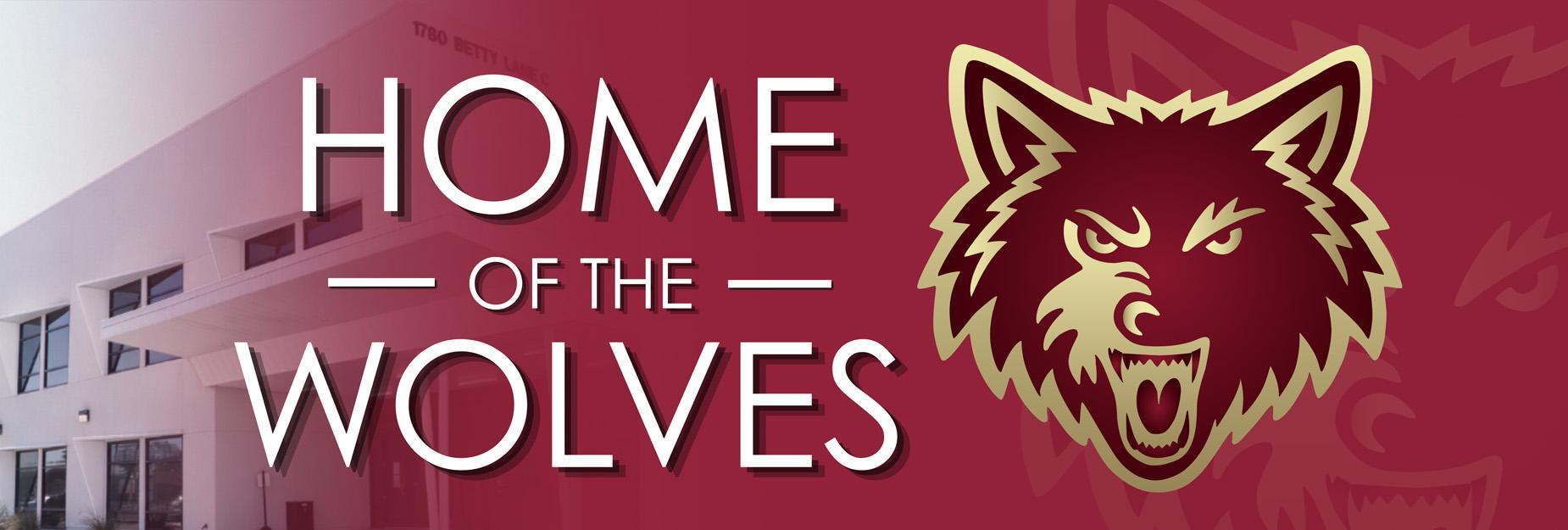 AMS Nellis mascot image