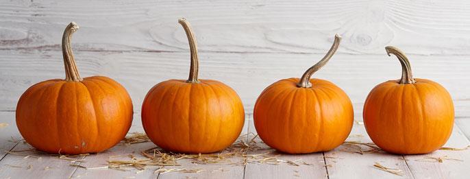 pumpkins