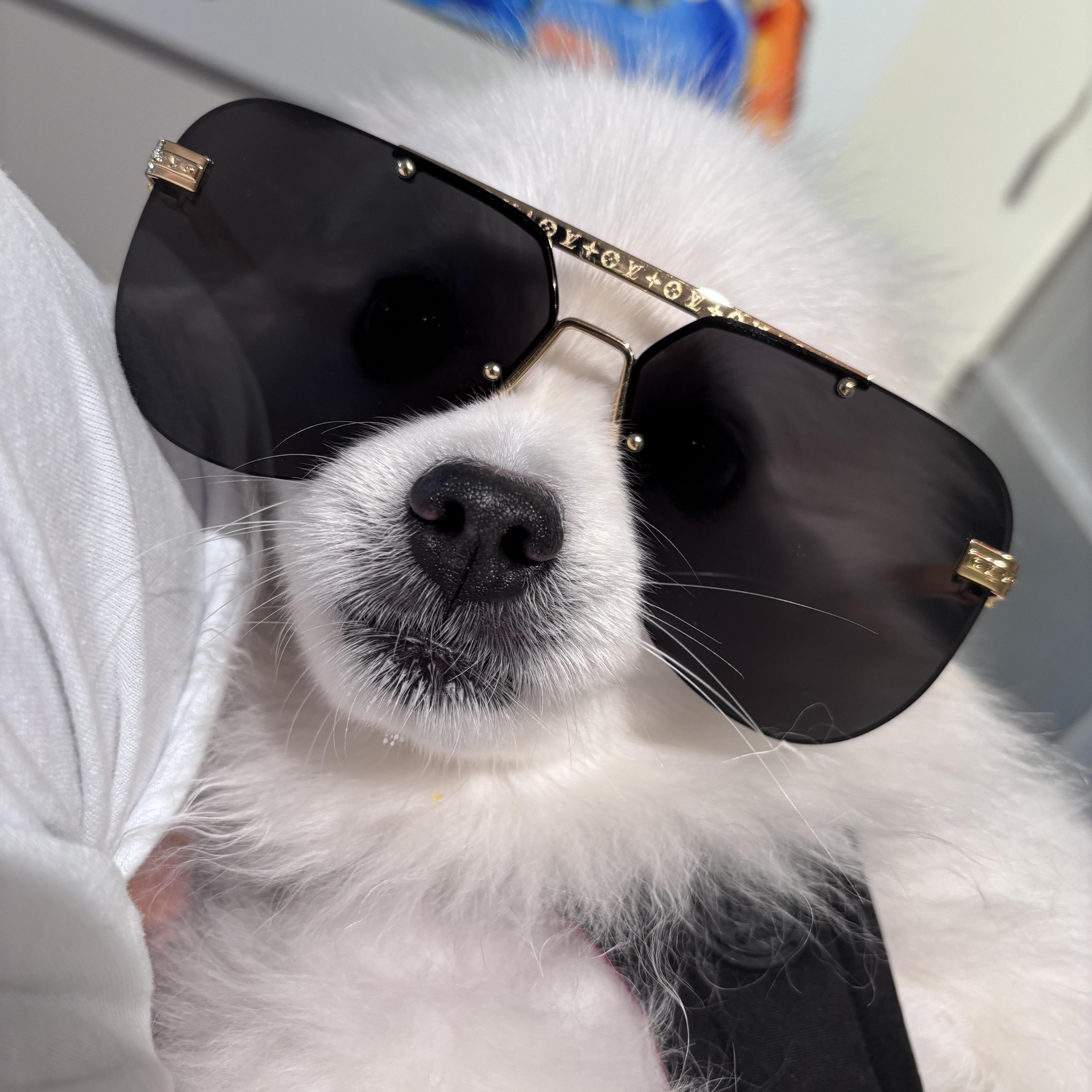 MelissaBers's Profile Photo