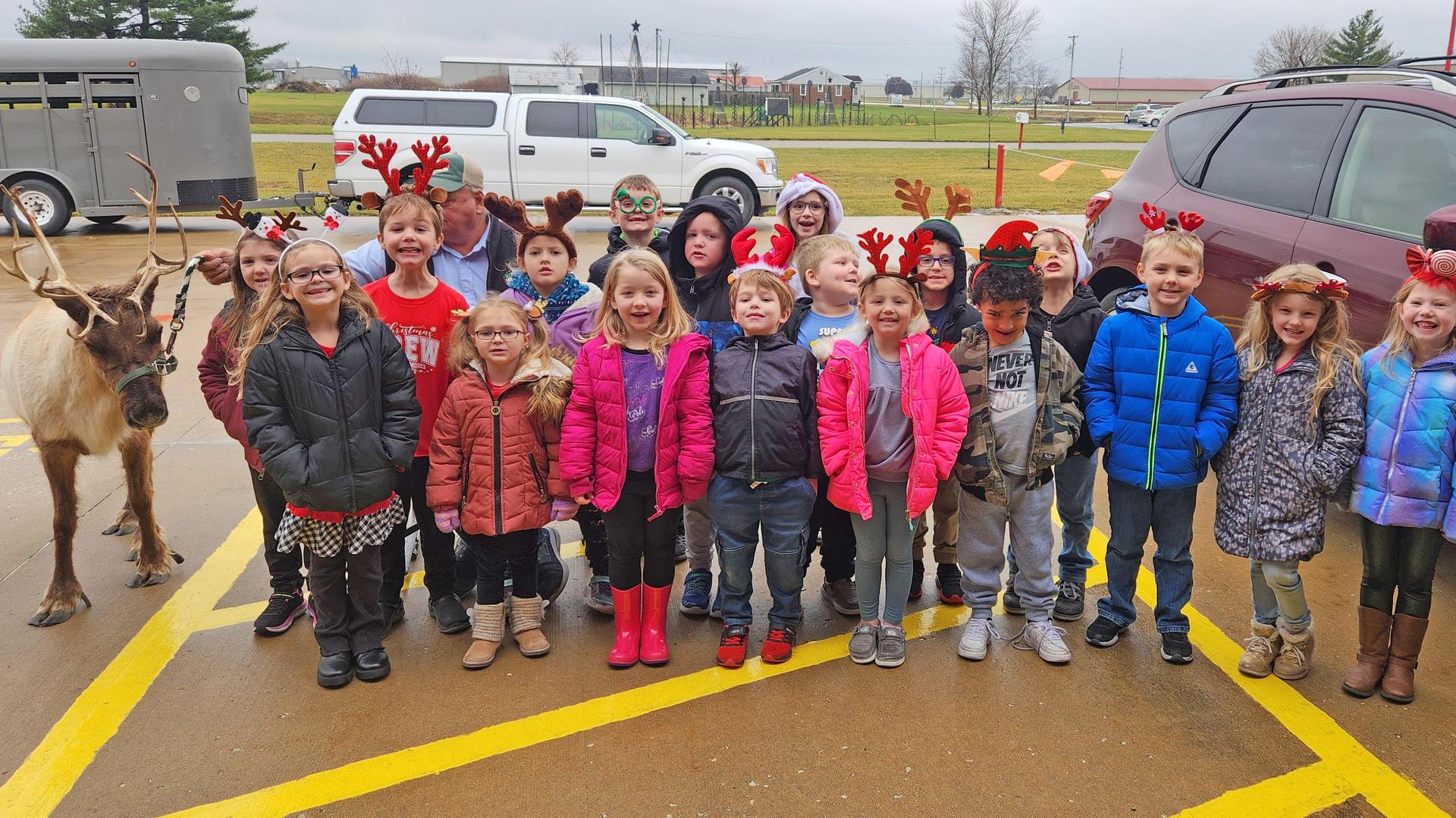 Reindeer at ELC