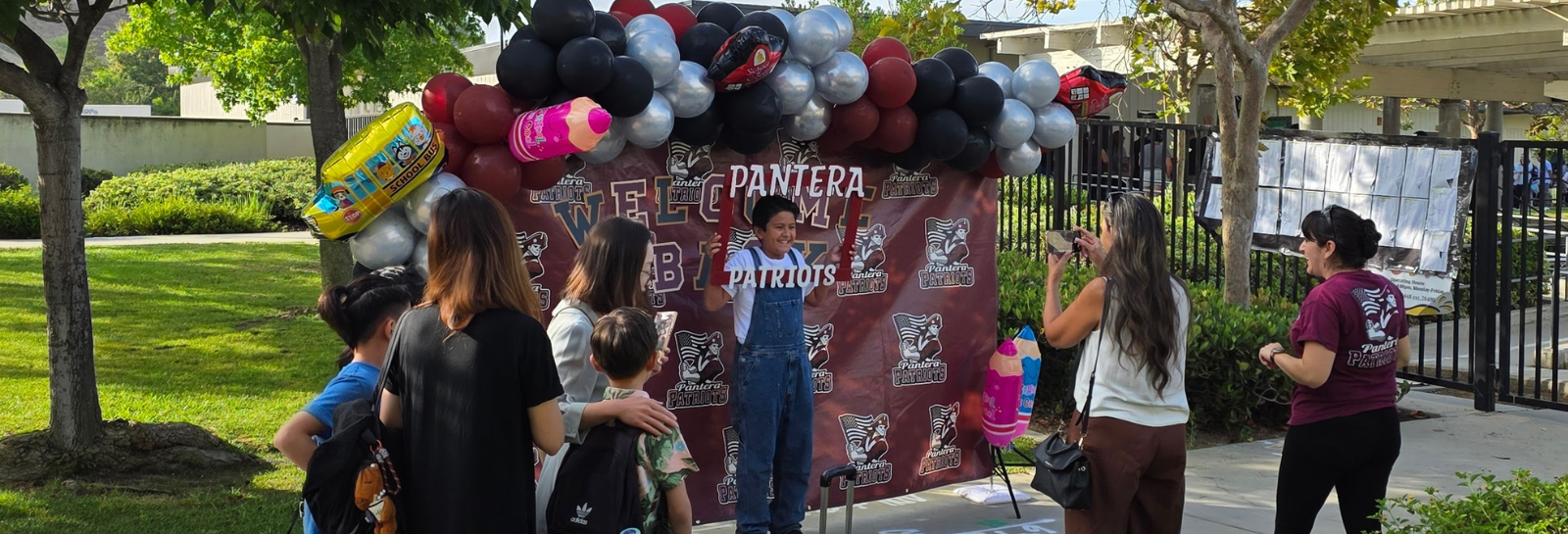 Pantera shuffle banner for homepage