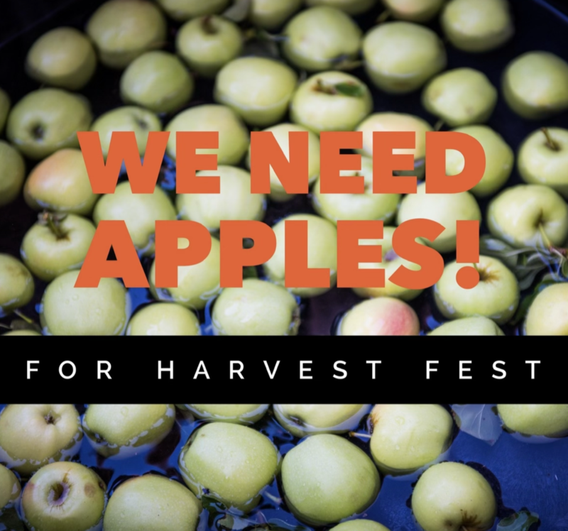 apples for harvest fest