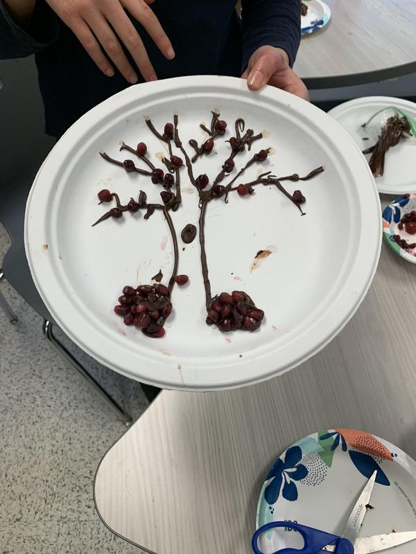 a chocolate tree