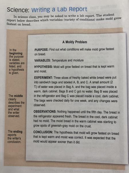 Lab Report Example.jpg