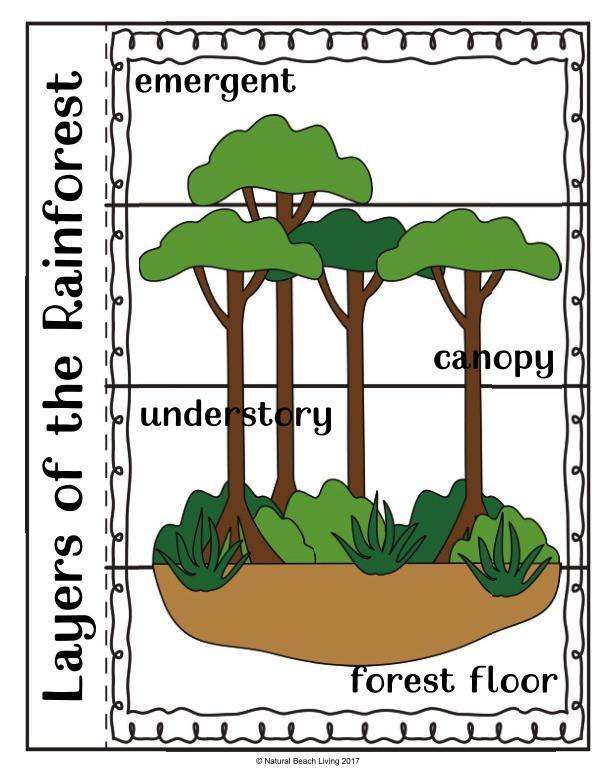 Homework in elementary school study image