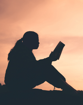  Elective - Reading