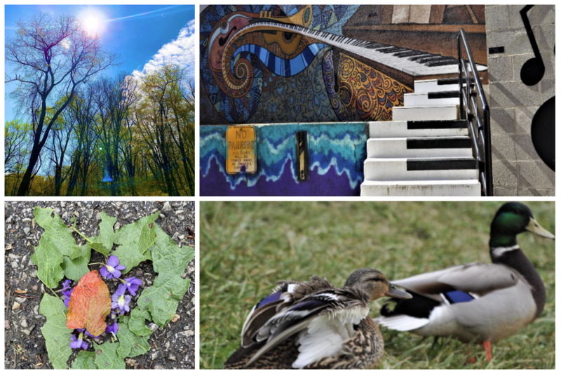 Norwin School District