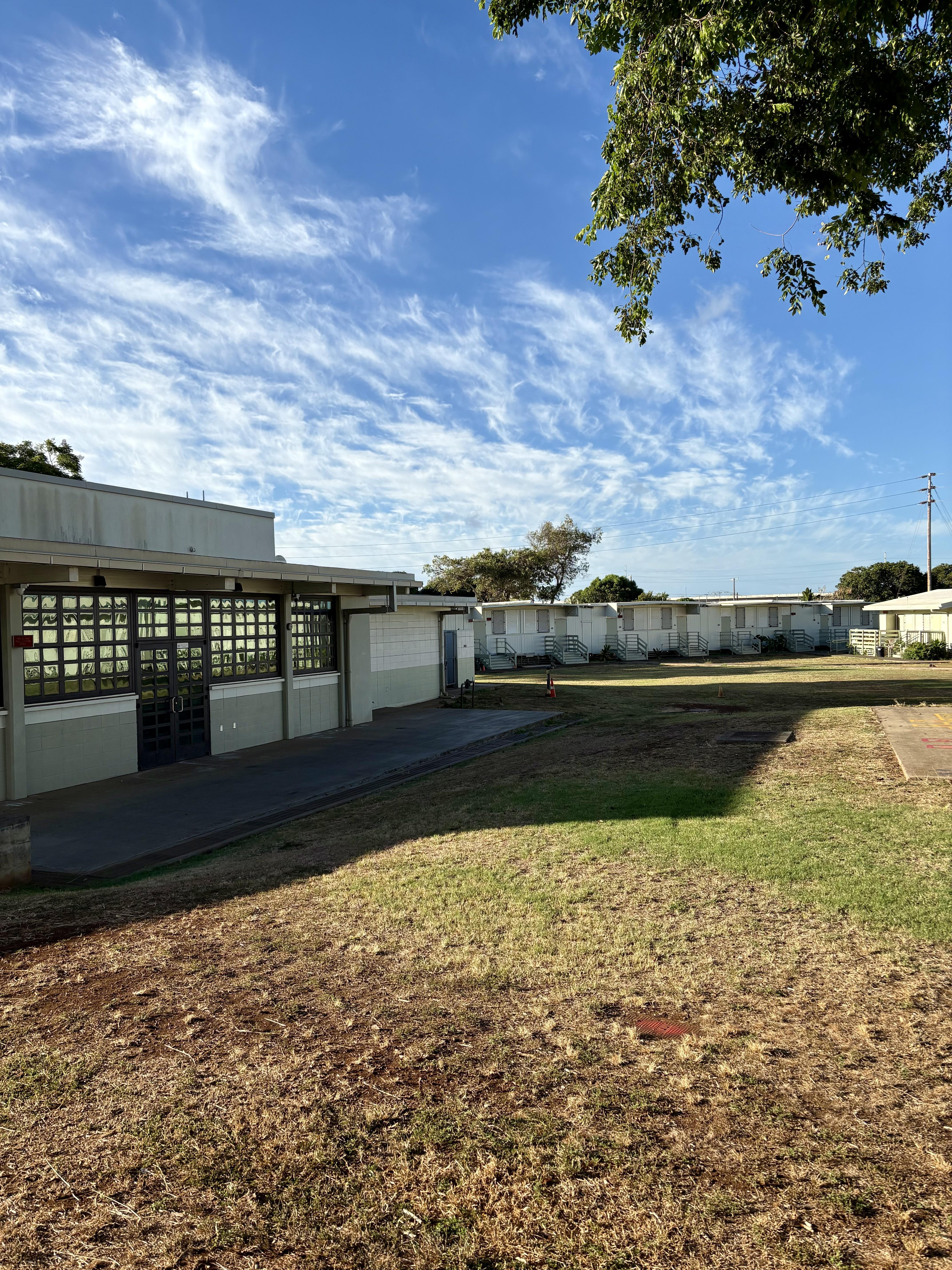 Back view of library