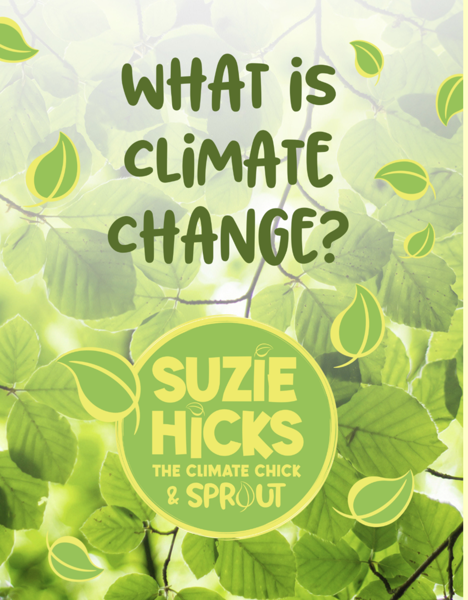 Suzie Hicks The Climate Chick