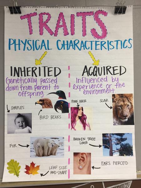 Traits.jpg