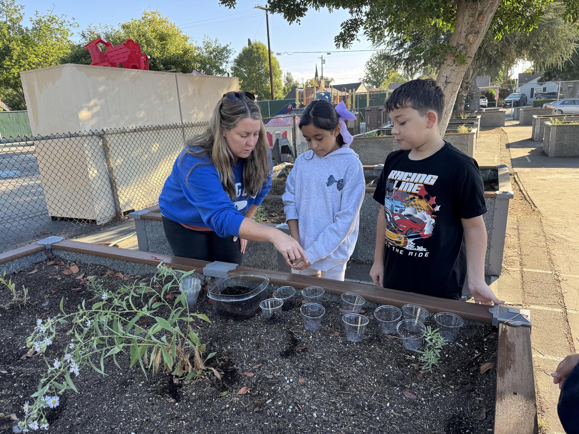 Students working on stewardship project