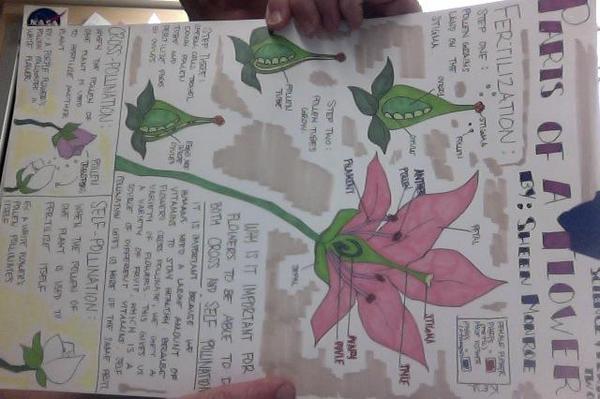 Photo on 5-24-18 at 9.48 AM.jpg