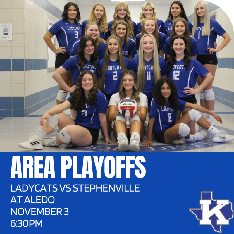 Volleyball Area Playoffs Featured Photo