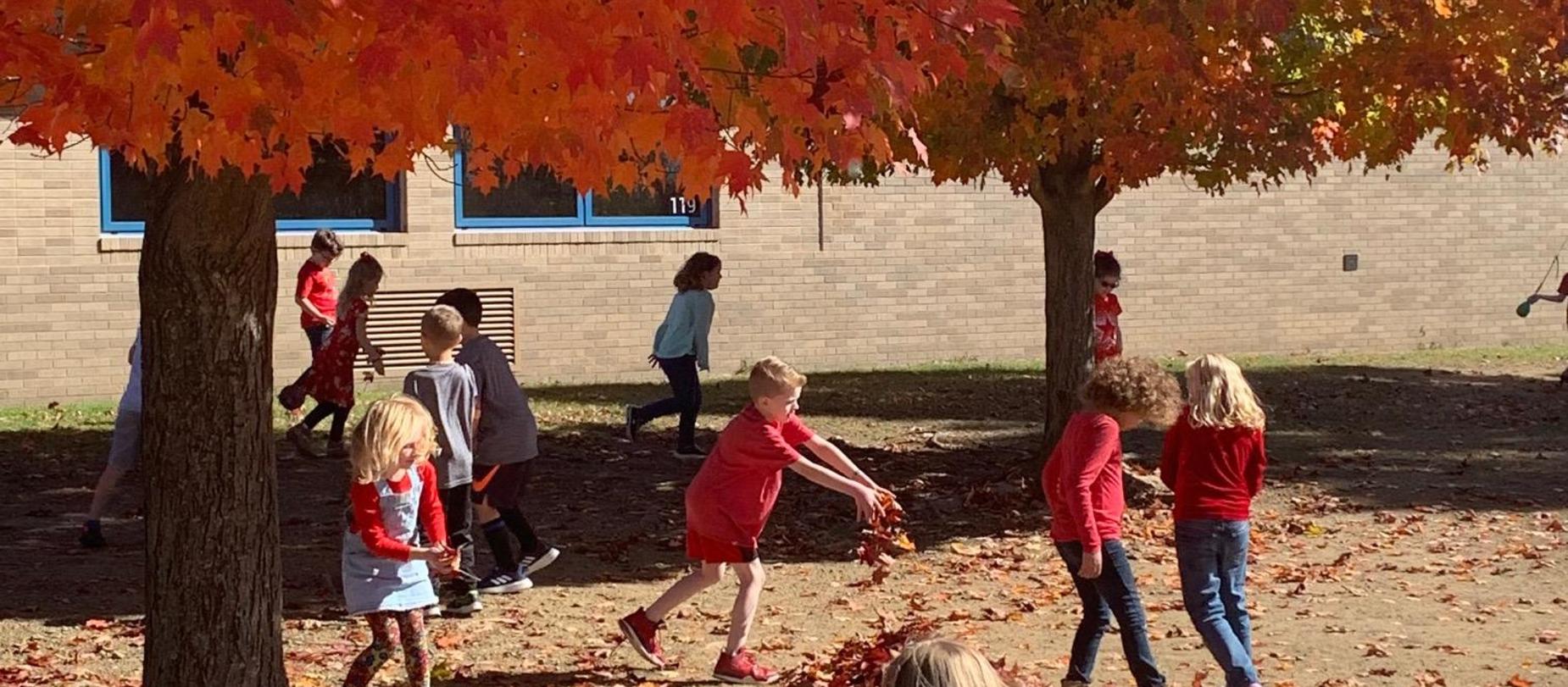 Fall Fun