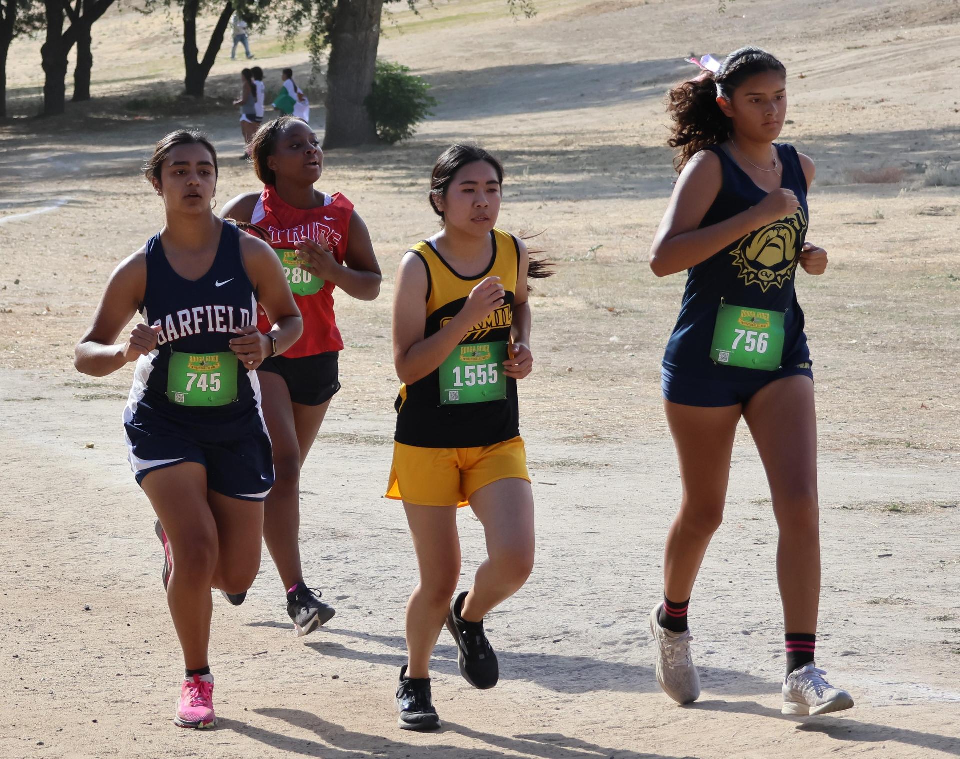 cross country runners in action