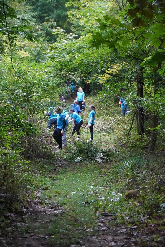 Students spread out through the woods to clear an invasive species.