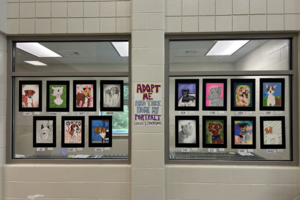 Pet portraits on display at the Animal Shelter