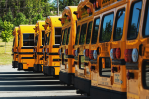Decorative - School Buses