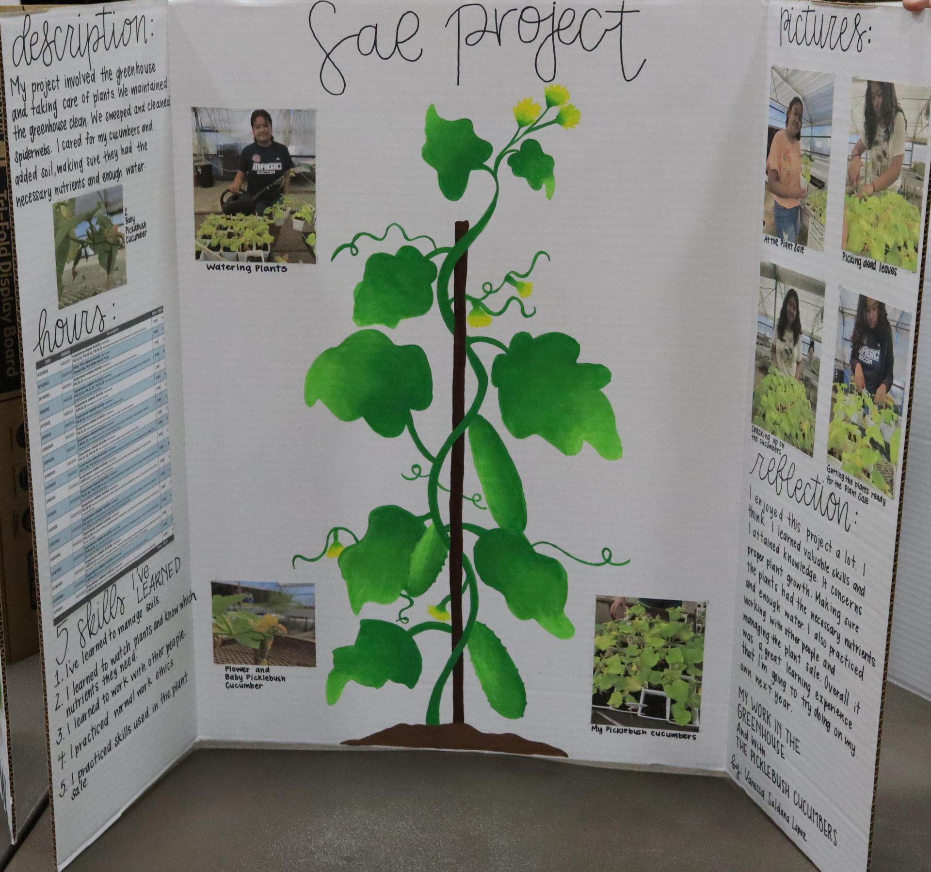 A Supervised Agricultural Experience trifold display