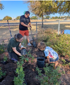 A family plants salvia greggii