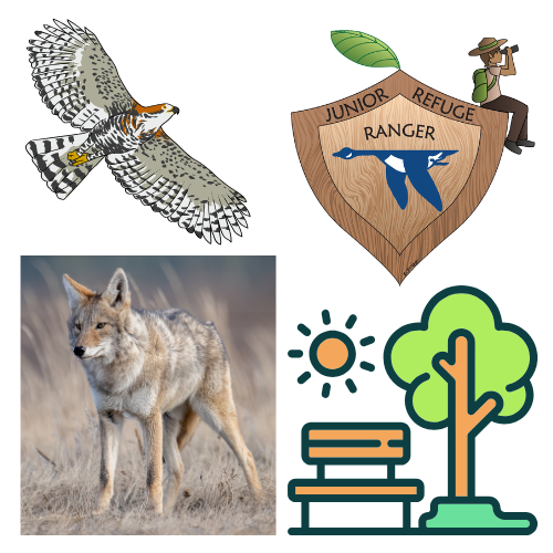 DFNWR Nature Icons