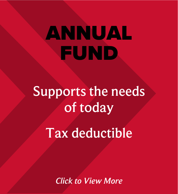 Annual Fund