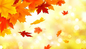 Upcoming Holiday Hours for Thursday, November 27 - Sunday, November 30.