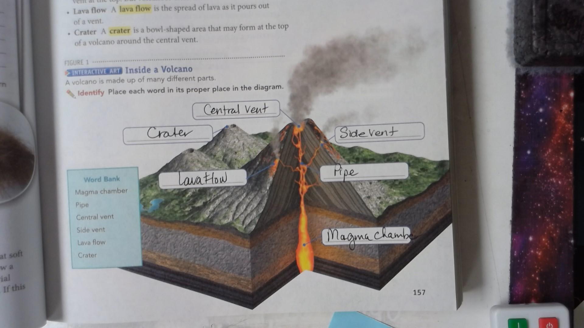 6th Grade Science Collins Theresa Aristoi Classical Academy