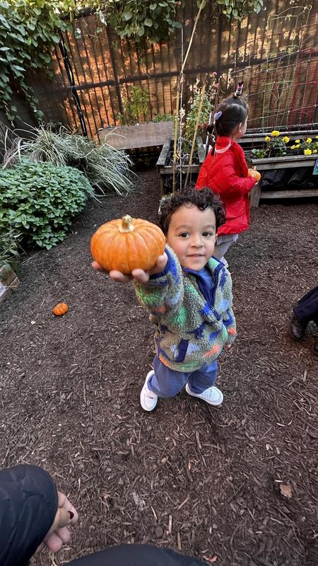 Pre-K Pumpkin Patch